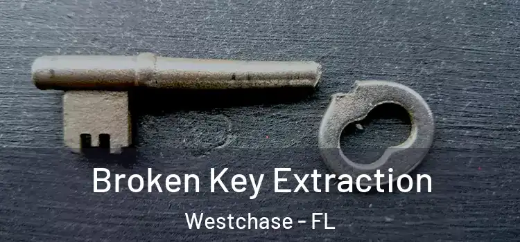  Broken Key Extraction Westchase - FL