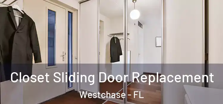  Closet Sliding Door Replacement Westchase - FL