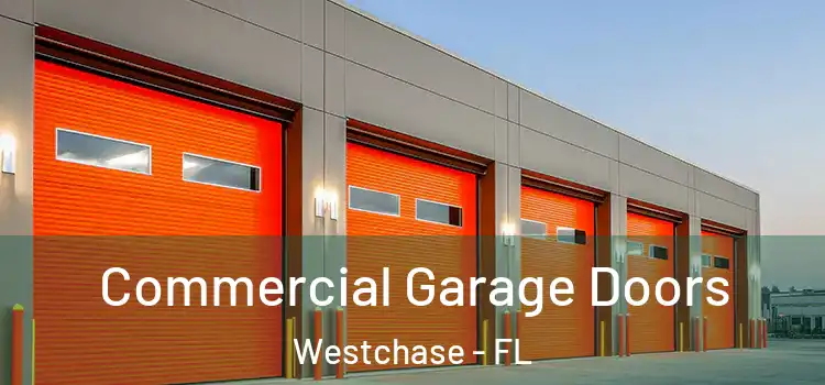  Commercial Garage Doors Westchase - FL