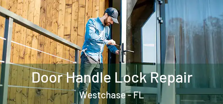  Door Handle Lock Repair Westchase - FL