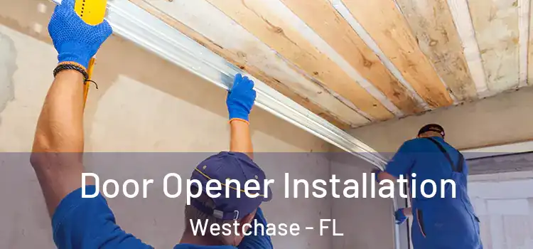  Door Opener Installation Westchase - FL