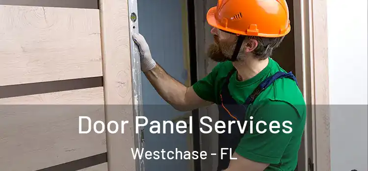  Door Panel Services Westchase - FL
