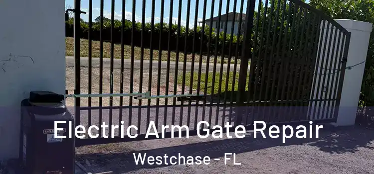  Electric Arm Gate Repair Westchase - FL