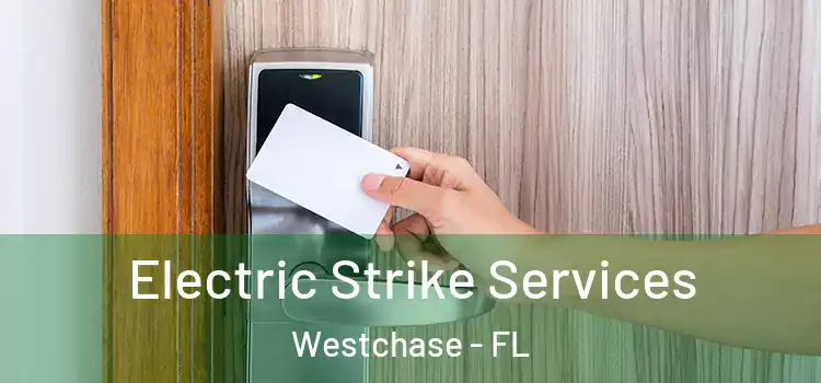  Electric Strike Services Westchase - FL