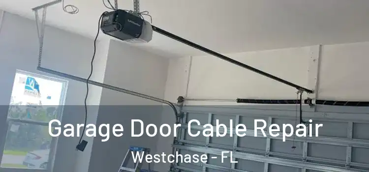  Garage Door Cable Repair Westchase - FL
