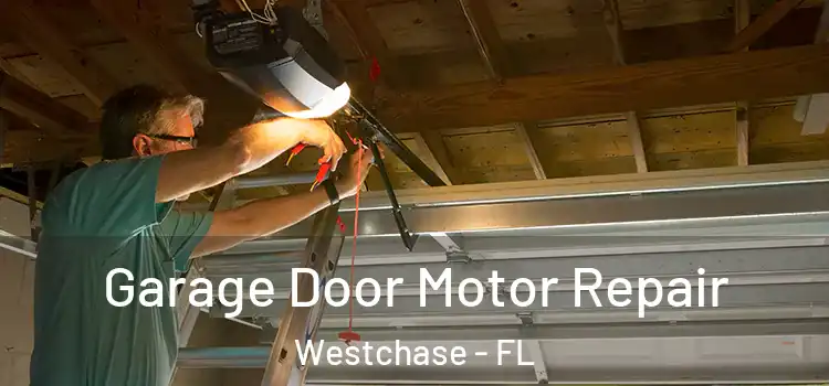  Garage Door Motor Repair Westchase - FL