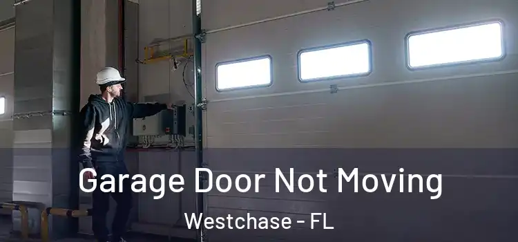  Garage Door Not Moving Westchase - FL
