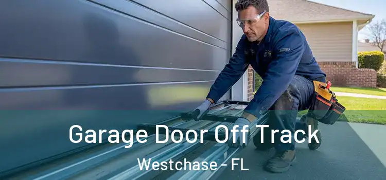  Garage Door Off Track Westchase - FL