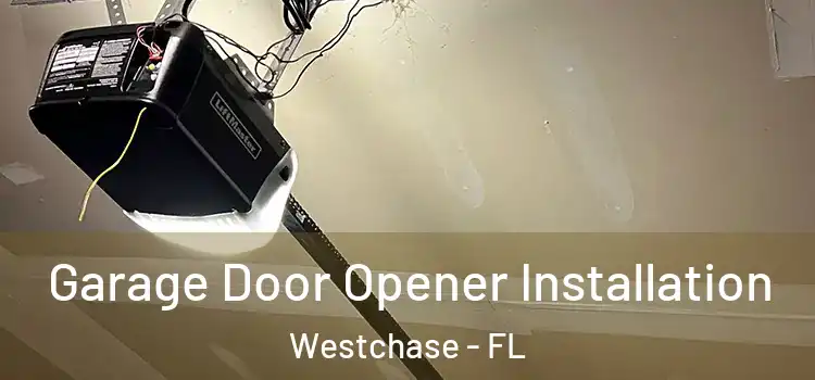  Garage Door Opener Installation Westchase - FL