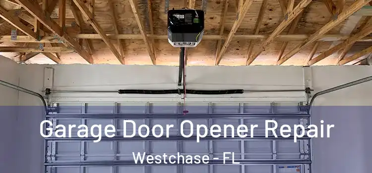  Garage Door Opener Repair Westchase - FL
