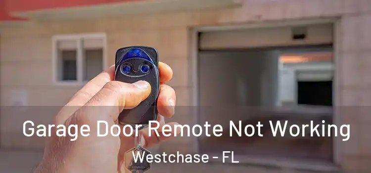  Garage Door Remote Not Working Westchase - FL