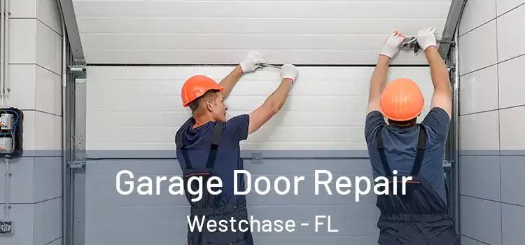  Garage Door Repair Westchase - FL
