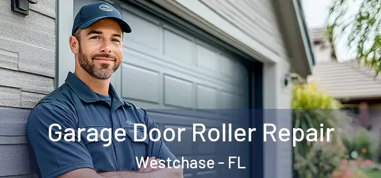  Garage Door Roller Repair Westchase - FL