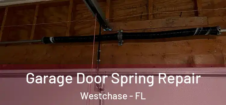  Garage Door Spring Repair Westchase - FL