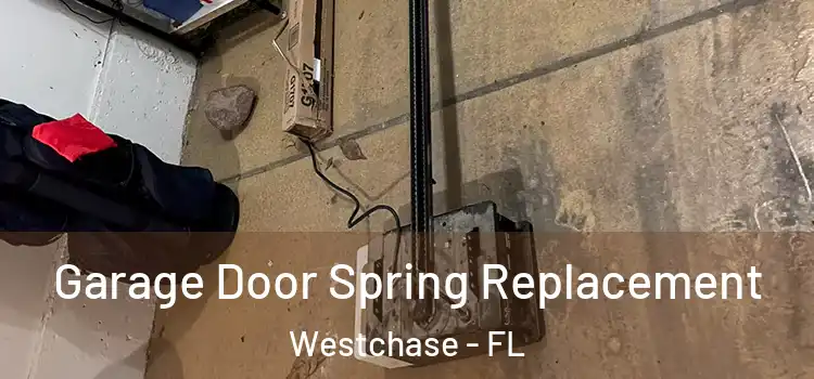  Garage Door Spring Replacement Westchase - FL