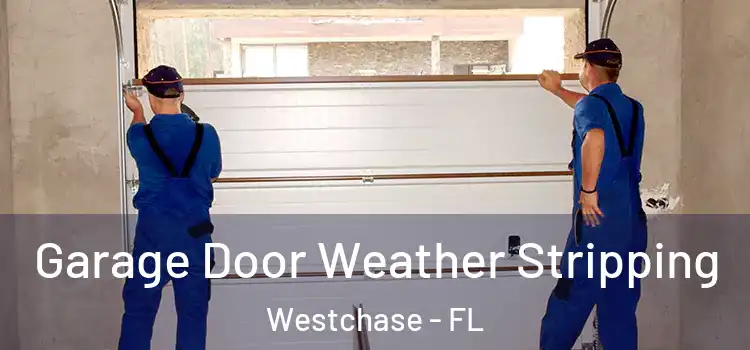  Garage Door Weather Stripping Westchase - FL