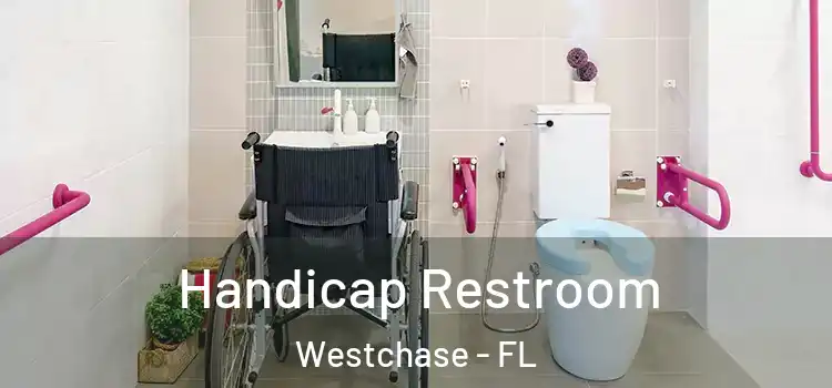  Handicap Restroom Westchase - FL
