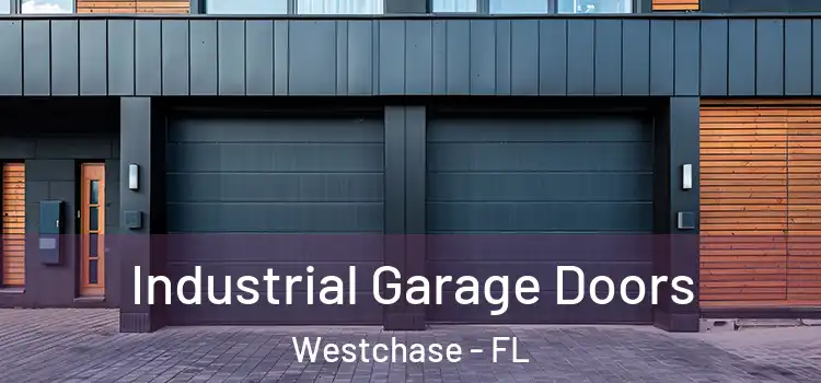  Industrial Garage Doors Westchase - FL