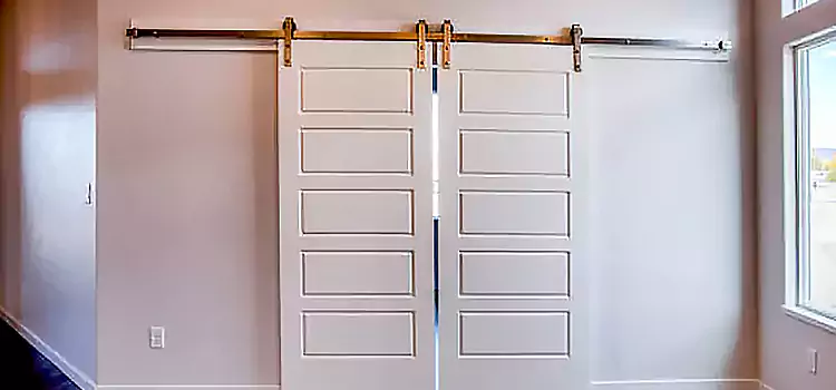 Glass Barn Door with Installation Hardware Kit Westchase