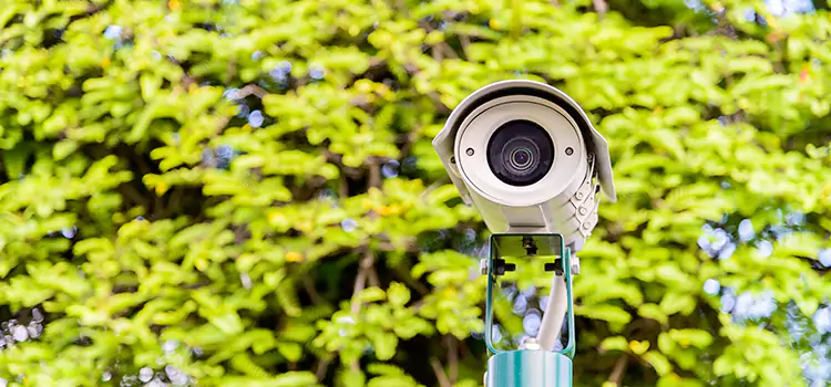 Advanced Surveillance Solutions for Every Need in Westchase