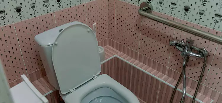 Meeting Diverse Needs With Accessible Restroom Solutions in Westchase, FL