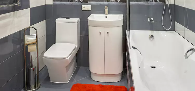 Hansgrohe Shaving Mirror Westchase