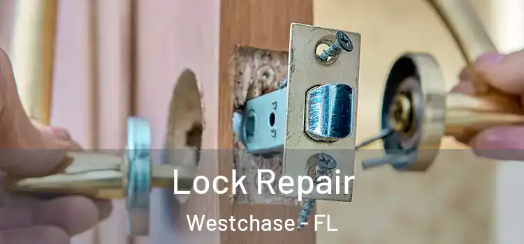 Lock Repair Westchase - FL
