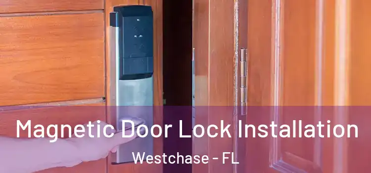  Magnetic Door Lock Installation Westchase - FL
