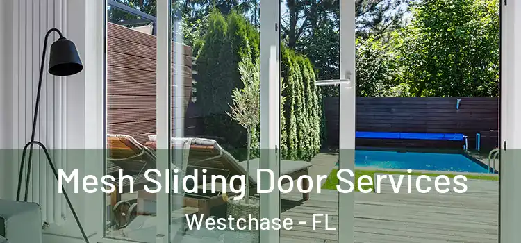  Mesh Sliding Door Services Westchase - FL