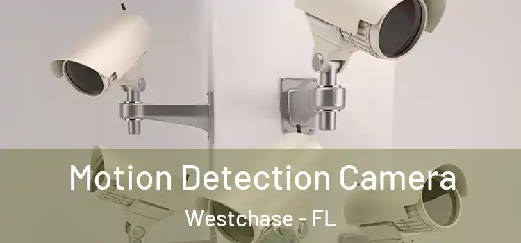  Motion Detection Camera Westchase - FL