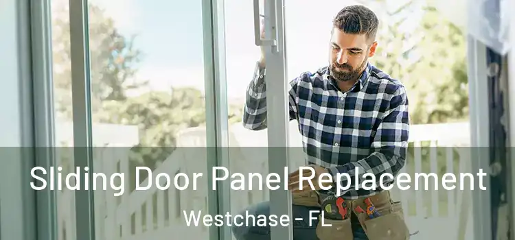  Sliding Door Panel Replacement Westchase - FL