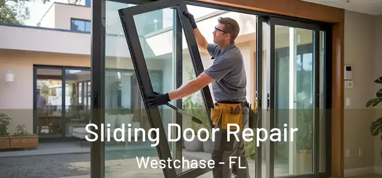  Sliding Door Repair Westchase - FL