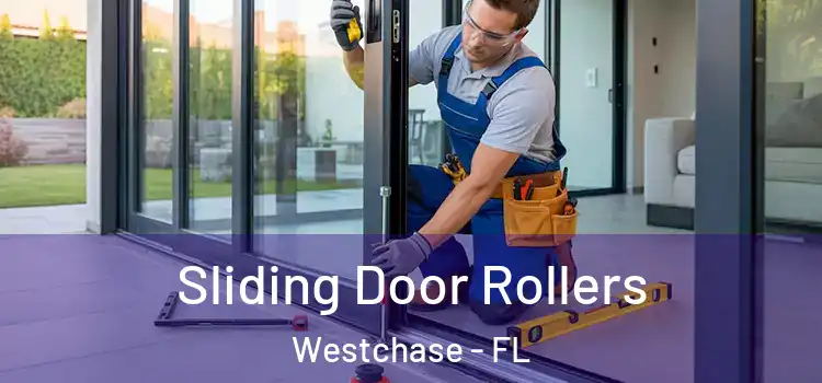  Sliding Door Rollers Westchase - FL