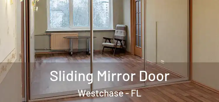  Sliding Mirror Door Westchase - FL