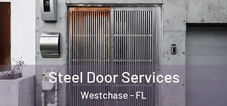  Steel Door Services Westchase - FL